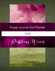 Prayer Journal And Planner For Righteous Women - PDF Book - Vivid Magenta, Olive Green, Bright Violet Modern Abstract Cover